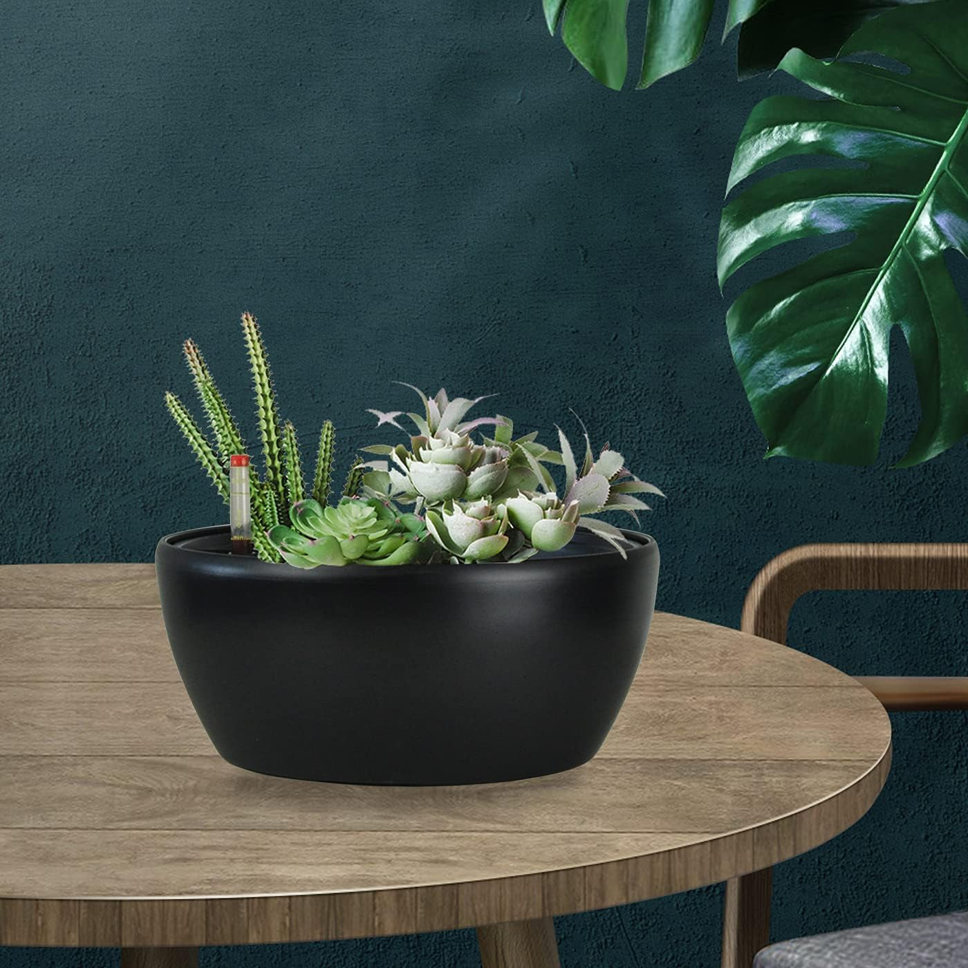 11 Inch Self Watering Planters for Indoor Healthy Plants-Flower Pot with Water Level Indicator,Round Shape Black Matte Modern Decorative Planter Pot 2 Pack (Black), RB-ZXS-1012