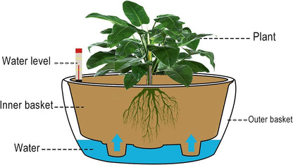 11 Inch Self Watering Planters for Indoor Healthy Plants-Flower Pot with Water Level Indicator,Round Shape Black Matte Modern Decorative Planter Pot 2 Pack (Black), RB-ZXS-1012
