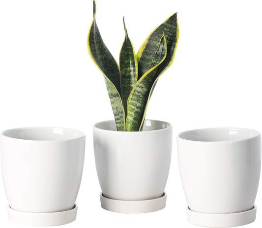 Plant Pots–4.7”Glazed Ceramic Flower Pot with Drainage Holes and Ceramic Tray - Gardening Home Desktop Office Windowsill Decoration Gift Set 3 - Plants NOT Included (White)